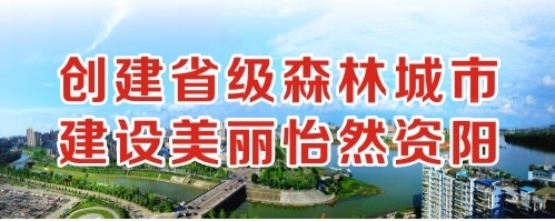 操操操操操操逼黄色视频创建省级森林城市 建设美丽怡然资阳